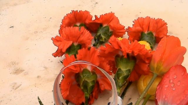 25 апреля Балтийск смотреть онлайн