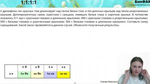 Урок 24  Генетика  Независимое наследование  Решение задач