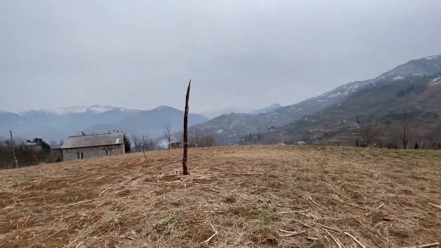 Земельный участок в селе Тхилнари Хелвачаурского муниципалитета. смотреть онлайн