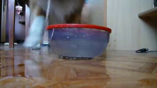 Пузыри в воде) смотреть онлайн