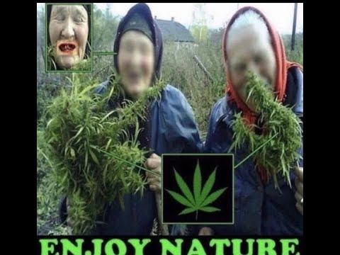 5k mmr 2 pos ранкед смотреть онлайн