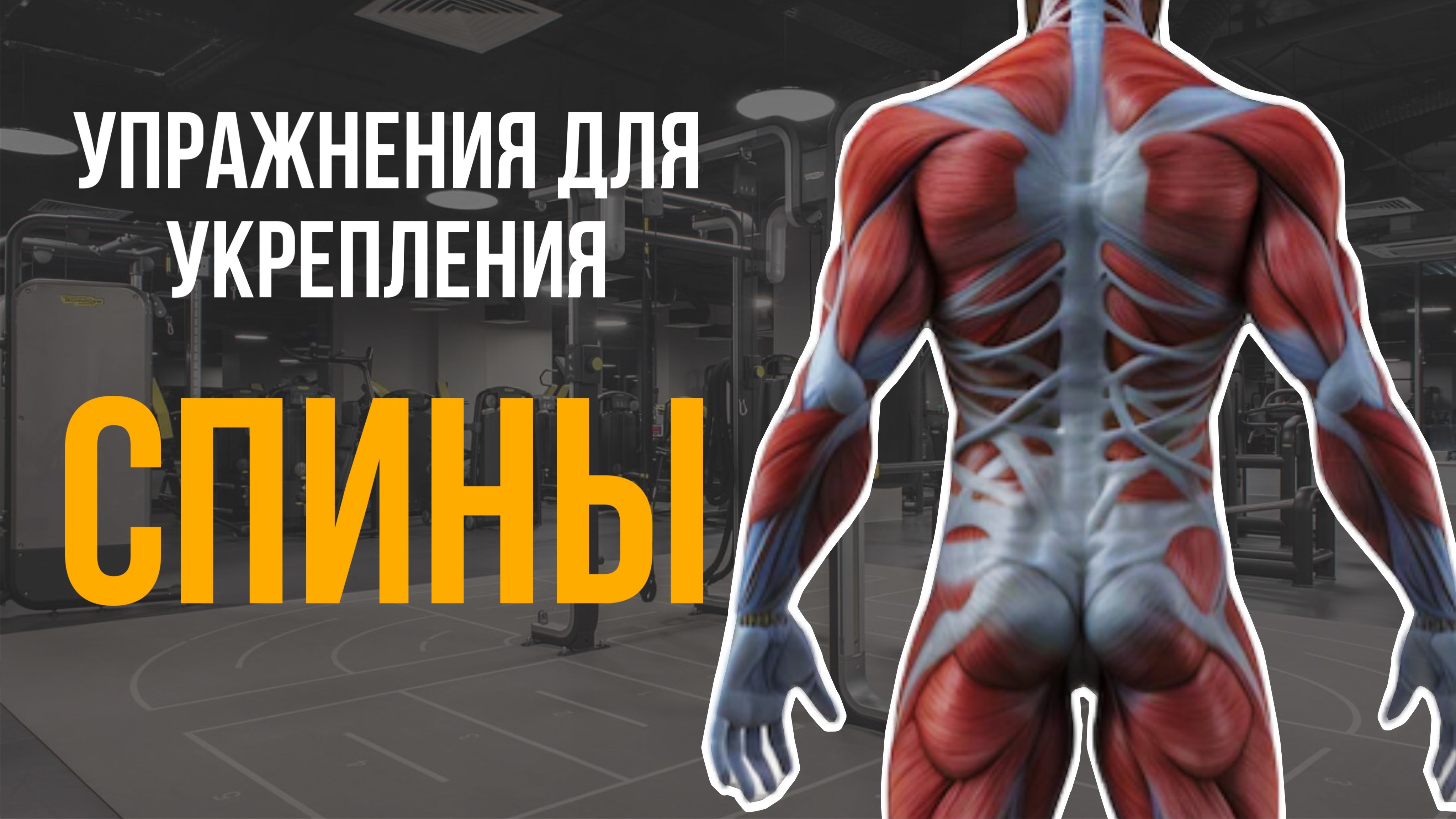Упражнения Для Укрепления Спины смотреть онлайн