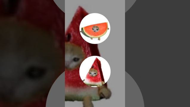 Эпизод 1 | Парные Аватарки Тема: Коты 😺 #аватарки #котики #рекомендации #хочувтренды #рек смотреть онлайн
