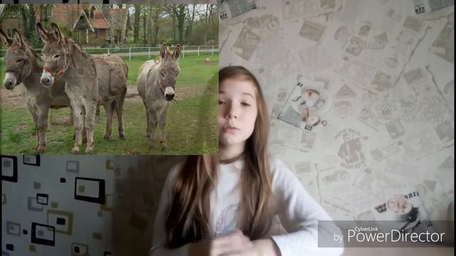 Интересные факты и удивительные новости 😊😊😊 смотреть онлайн