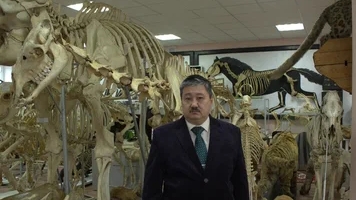 Дуга аорты (през-я) 2024