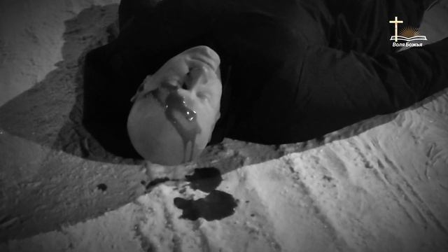 Свидетельство  Алексея Степанова