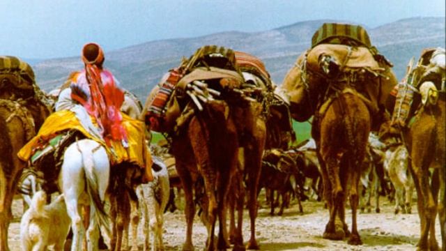 Qashqaei Music Galin смотреть онлайн