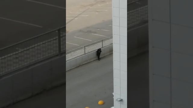 Пьяная баба потеряла шапку!) смотреть онлайн