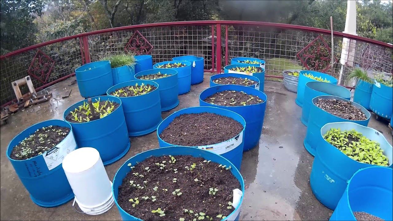 FREE 55 Gallon Plastic barrels into vegetable planters смотреть онлайн