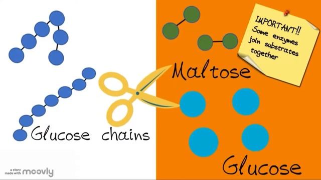 Bioanimation - Enzymes смотреть онлайн