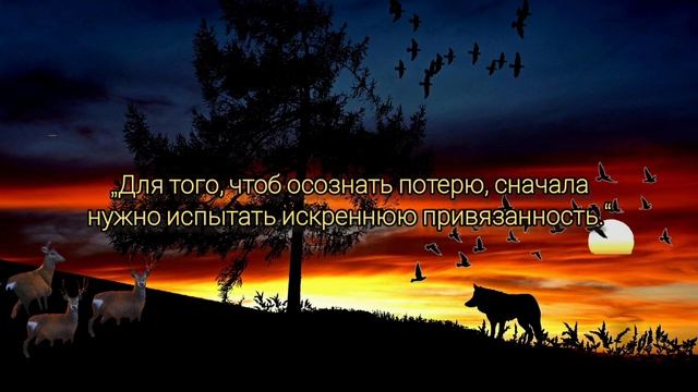 Мудрые цитаты провернные временем Па́уло Коэльо. смотреть онлайн