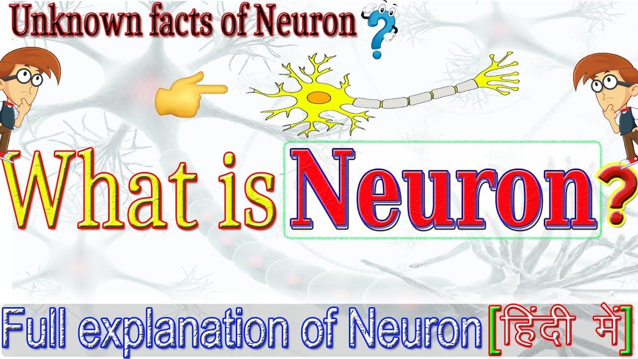 👉What is Neuron? 🔥|Full explanation of Neuron with Simple Definition| 🔥Importance of Neuron? смотреть онлайн