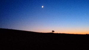 M-PEOPLE/DON'T LOOK ANY FURTHER (DJ NIPPER INSTRUMENTAL REMIX)