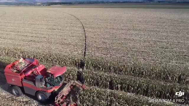 Ділянка гібридизації кукурудзи, збір смотреть онлайн