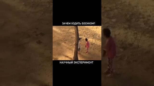 КАК УЛУЧШИТЬ РЕОЛОГИЮ КРОВИ