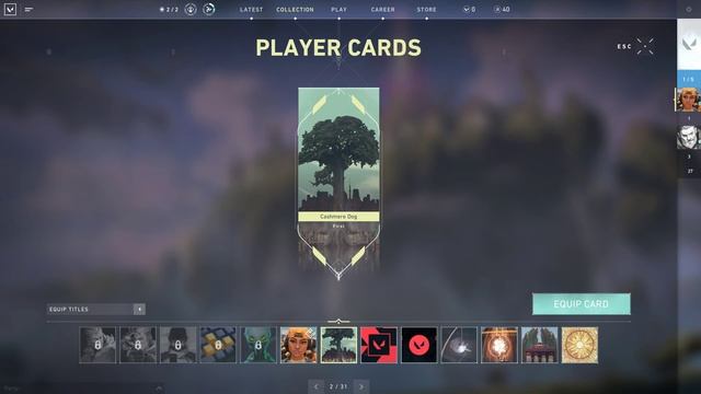 Default Player Card showcase - Valorant Closed Beta смотреть онлайн
