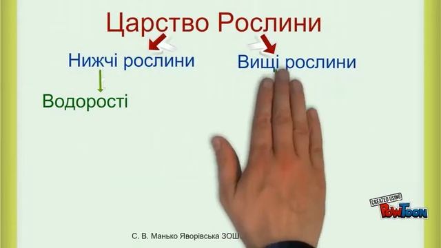 Систематика рослин смотреть онлайн