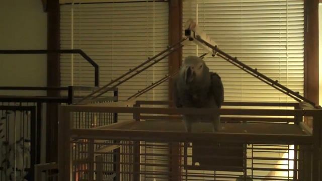 Hamlet 6/5/10 смотреть онлайн