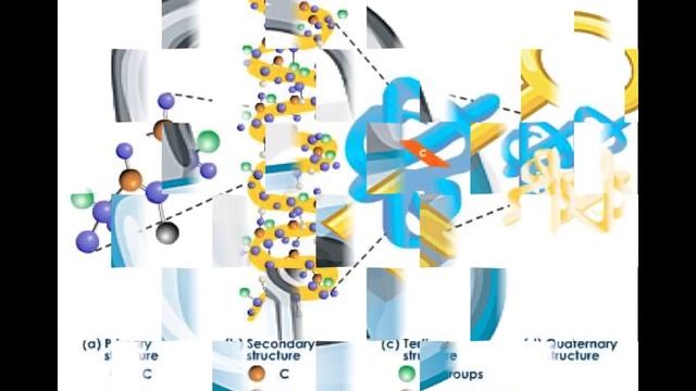AP Biology Macromolecules Rap смотреть онлайн