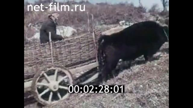 1966г. Тбилиси. подвесные канатные дороги. смотреть онлайн