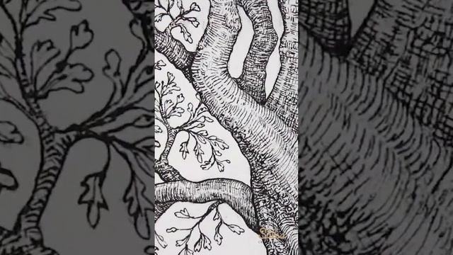 Satisfying timelapse dip pen and ink drawing. Watch the full video on my channel. смотреть онлайн