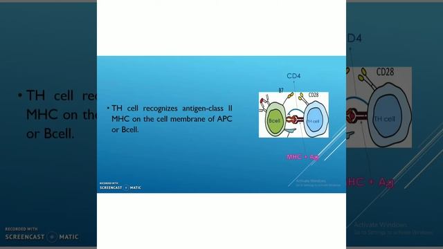 T helper 2 Response смотреть онлайн
