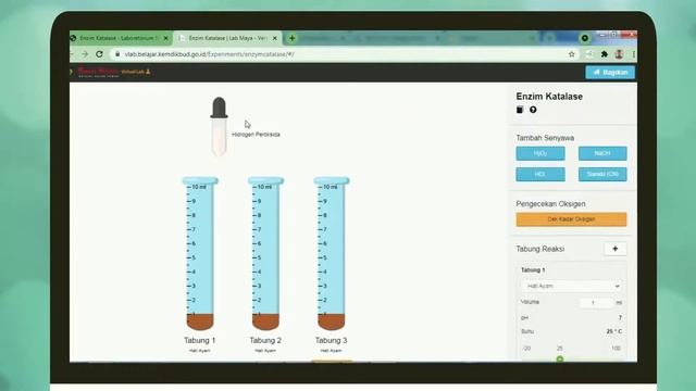 (Video 5) Praktikum Virtual Enzim Katalase Dilengkapi Lembar Kerja смотреть онлайн