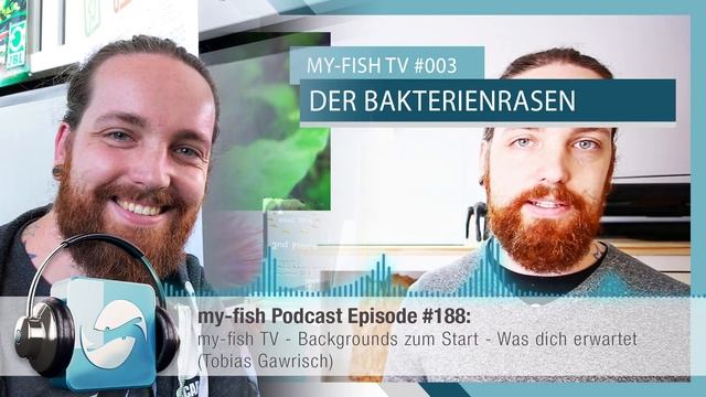 my-fish.org - my-fish TV - Backgrounds zum Start - Was dich erwartet (Tobias Gawrisch) смотреть онлайн