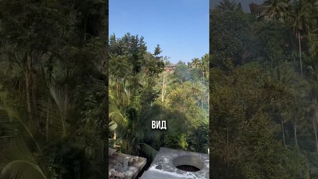 Забыли прочитать отзывы на AirBnb😳 смотреть онлайн