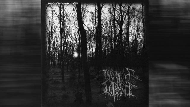 Winter Depression - Я Плачу З Тобою Земля Моя смотреть онлайн