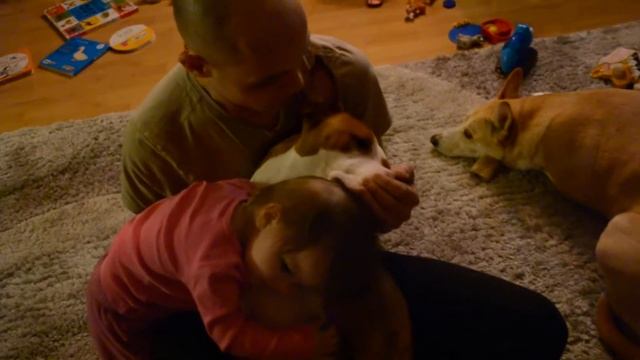 The Most Adorable Toddler, Pitbull & Daddy Video смотреть онлайн