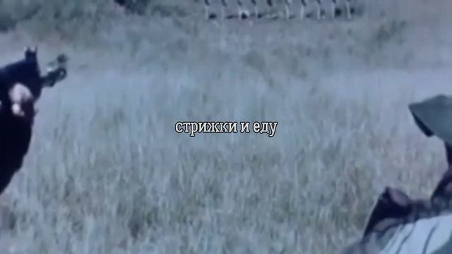 It's A Long Way To Mukumbura | Субтитры на русском смотреть онлайн