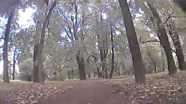 Botanic garden, clever antenna - 4 смотреть онлайн