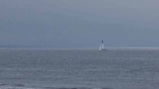 Прогулка по Владивостоку в день семьи, любви и верности, набережная ДВВИМУ #БлогВладивосток смотреть онлайн