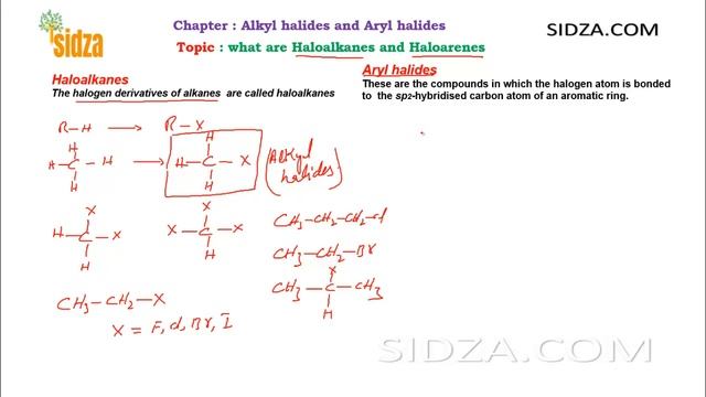 what are haloalkanes and haloarenes : class 12 смотреть онлайн