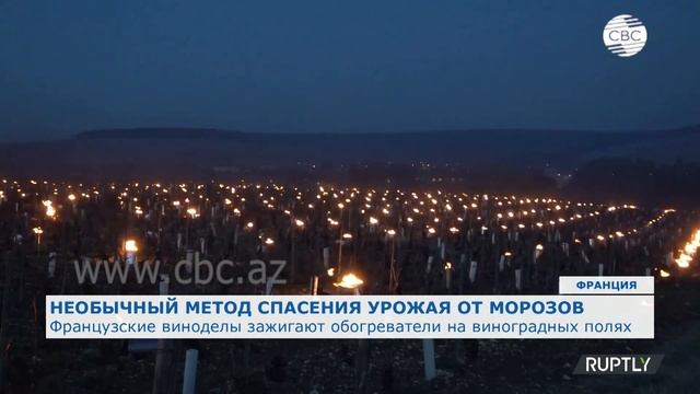 Французские виноделы зажигают обогреватели на виноградных полях смотреть онлайн