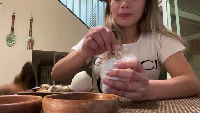 Eating Duck Balut, Chicken Balut and Quail Balut смотреть онлайн