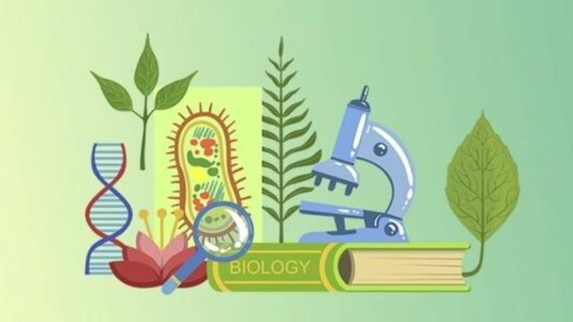 Биология 9 класс. Изменчивость организмов. смотреть онлайн