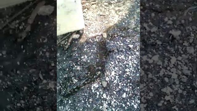 Тест куботейнера (замороженная вода) смотреть онлайн
