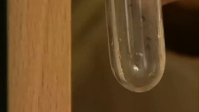 Демонстрація_Вплив розміру поверхні стикання реагуючих речовин на швидкість реакції смотреть онлайн