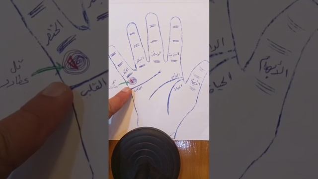 #مازن_البيضاني علامة الجزيرة على تل عطارد في الكف смотреть онлайн