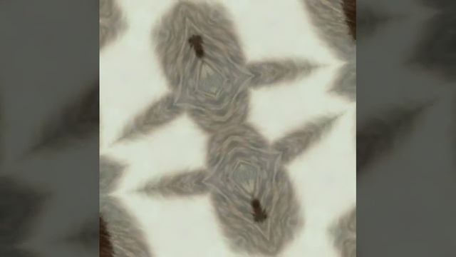 Отряд Кивиобразные