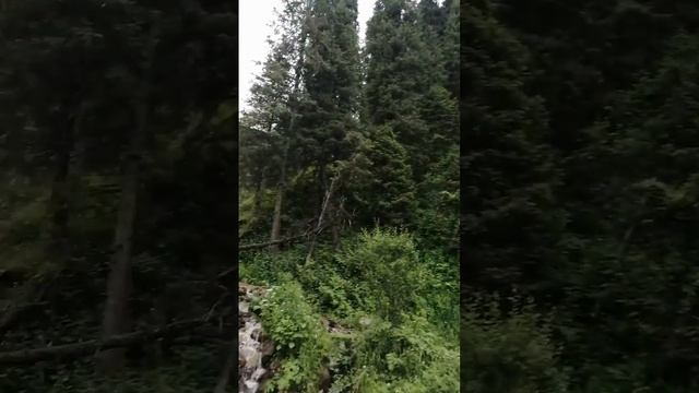 Судың сылдыры