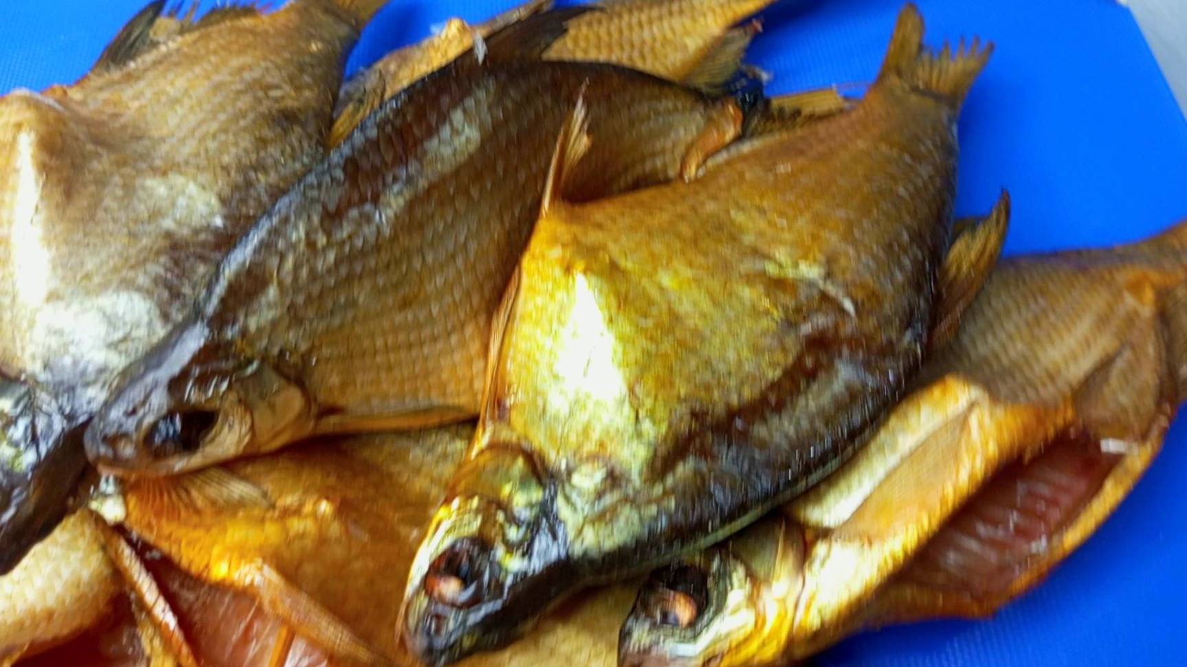 ГУСТЕРА ХОЛОДНОГО КОПЧЕНИЯ #boosty смотреть онлайн