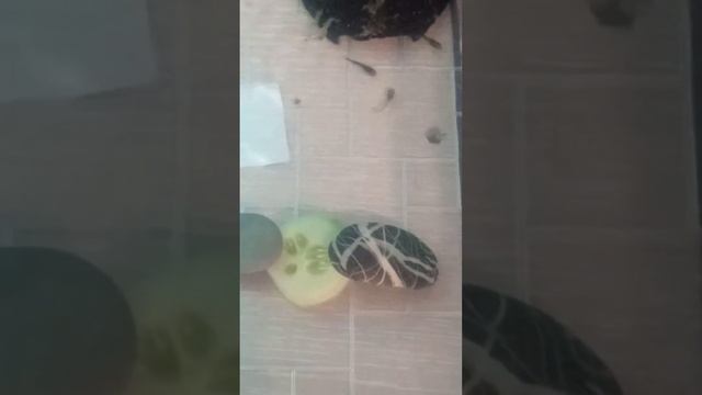 8 февраля 2021 г. смотреть онлайн