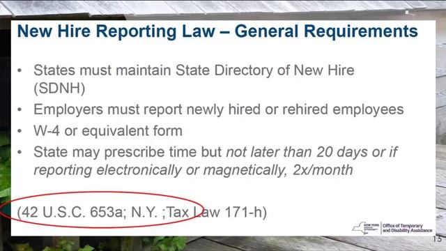 1099 CONTRACTORS Shall Pay Child Support According to the NEW LAW! смотреть онлайн