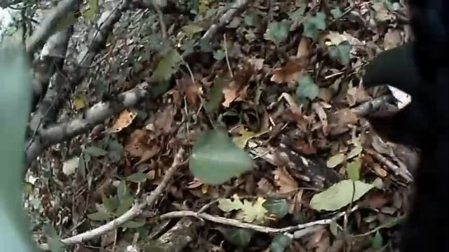 [Airsoft] BSA petit mix de vidéos смотреть онлайн