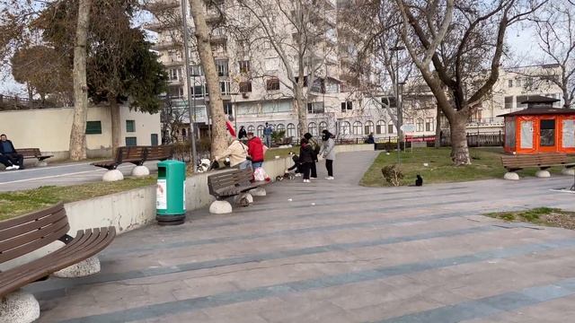 Сat house - Yavuz Ozcan Park - Antalya, Walking Tour 2022 Turkey - 4K смотреть онлайн