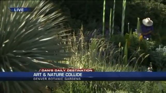 Art, Nature Collide At Denver Botanic Gardens смотреть онлайн