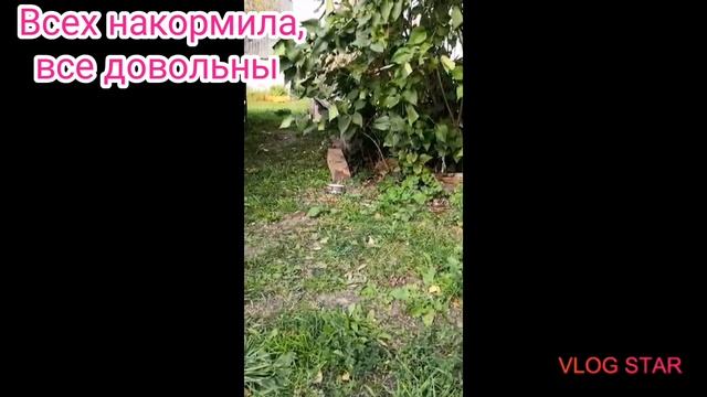 192. Пузико, Нафаня и Багирка. KatrinaFt смотреть онлайн